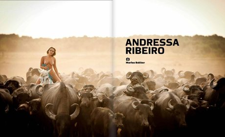 Andressa Ribeiro