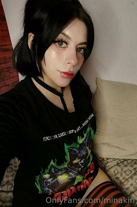 Minakin