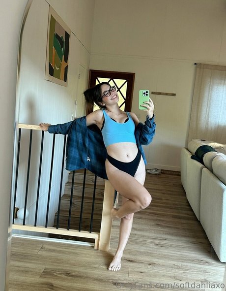 Softdahliaxo