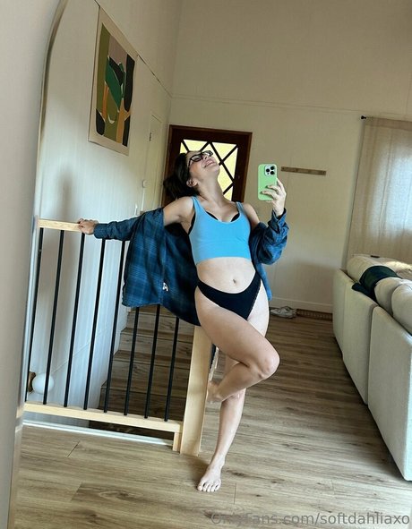 Softdahliaxo