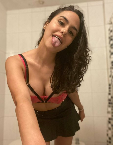 Holibeibii