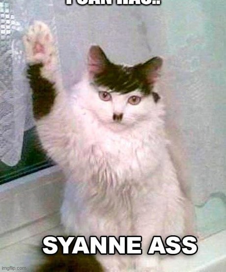 Syanne