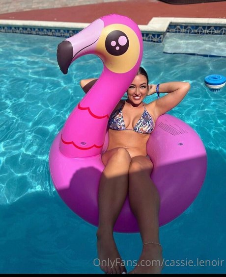 Foto desnuda filtrada de OnlyFans de Cassie Lenoir