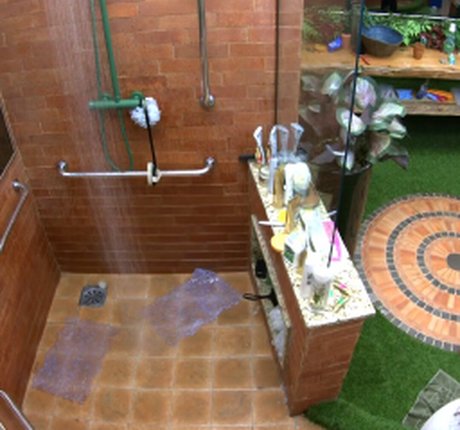 Big Brother Brasil 24