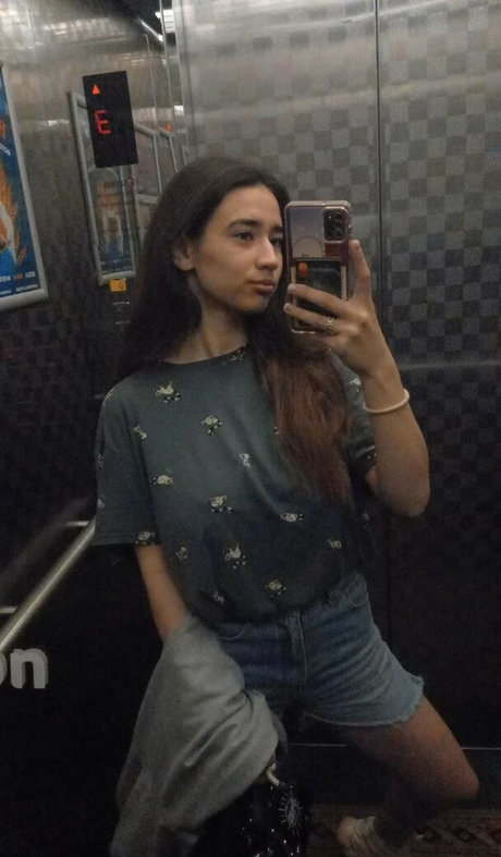 Mariemelons