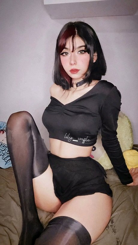 Lily Waifu