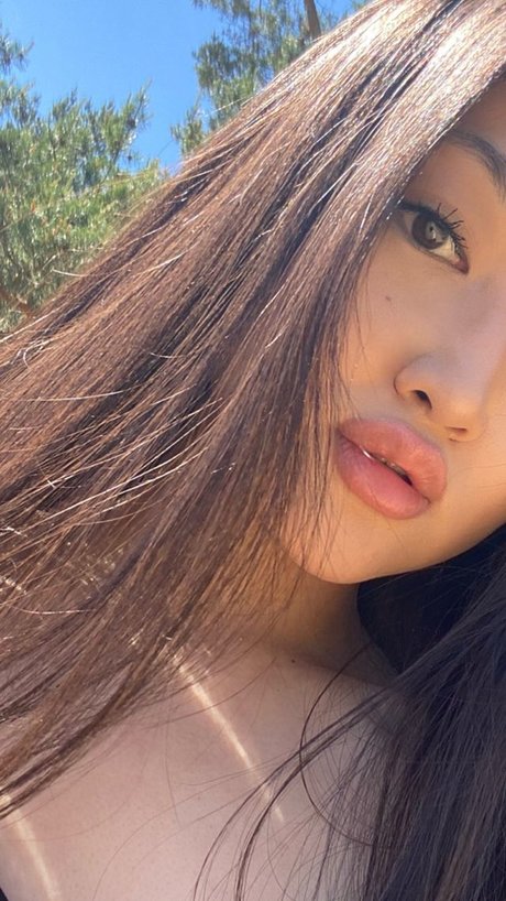 Li