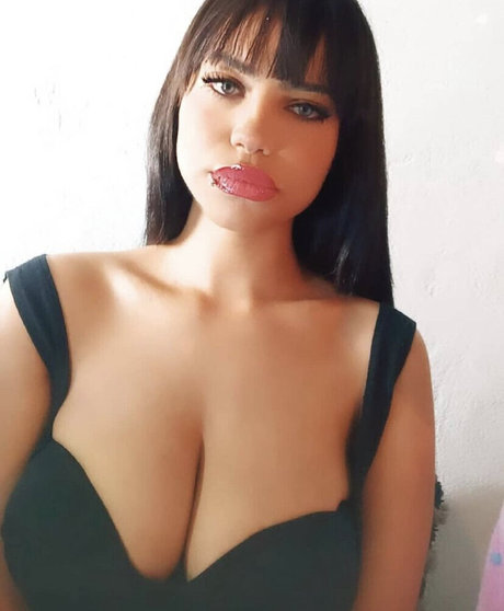 Madihaerro