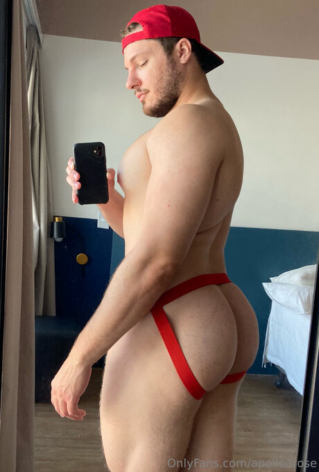 Apolloarose