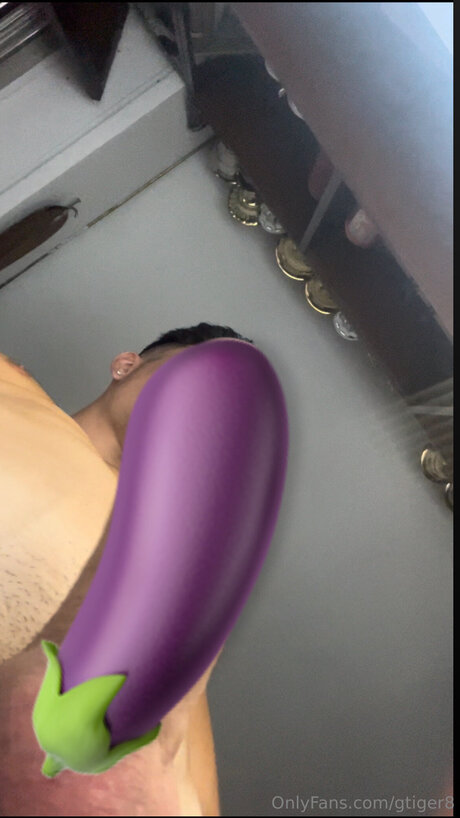 Gtiger8