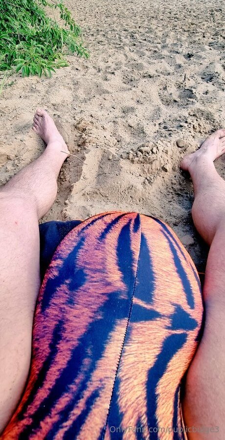 Publicbulge3