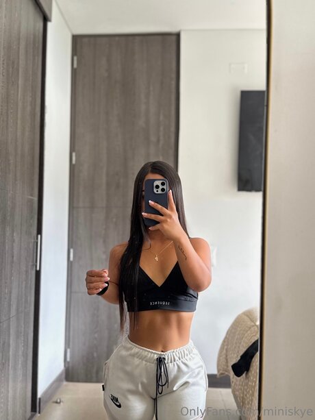 Miniskye