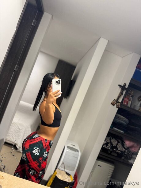 Miniskye