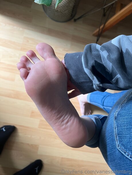 Vanessahmbrg