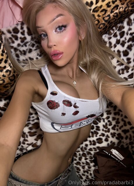 Dreafoxx