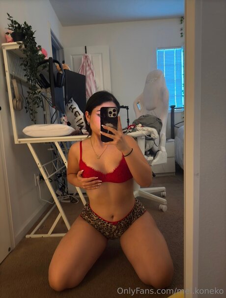 Mel Koneko