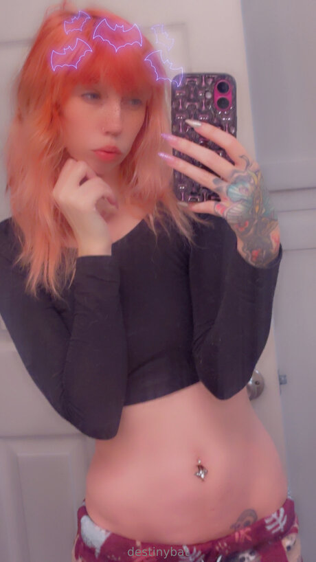 Destinybat