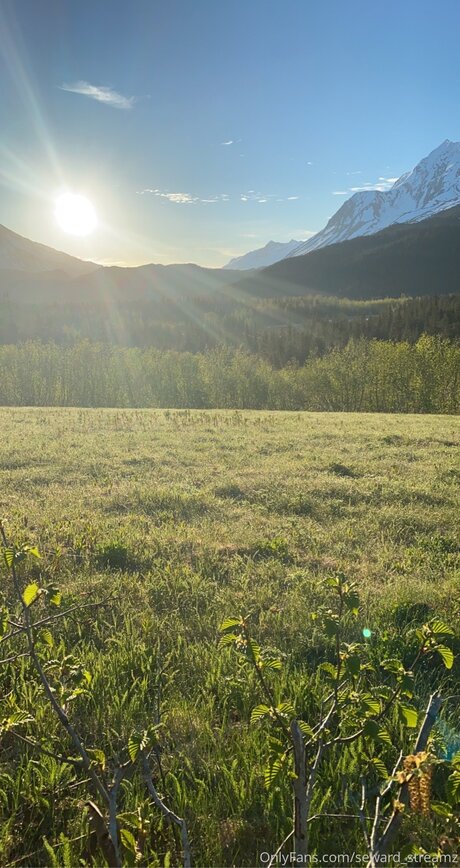 Seward Streamz