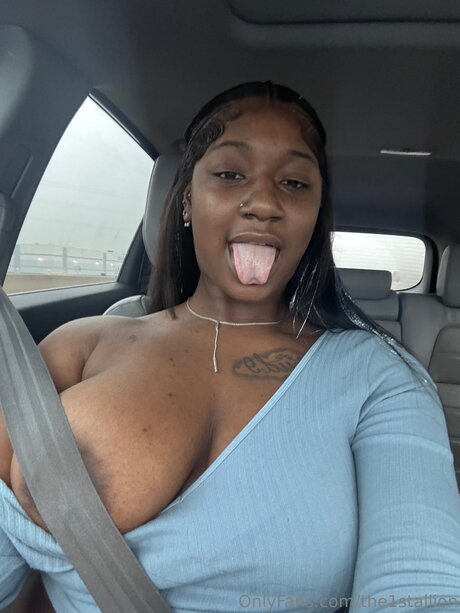 The1stallion