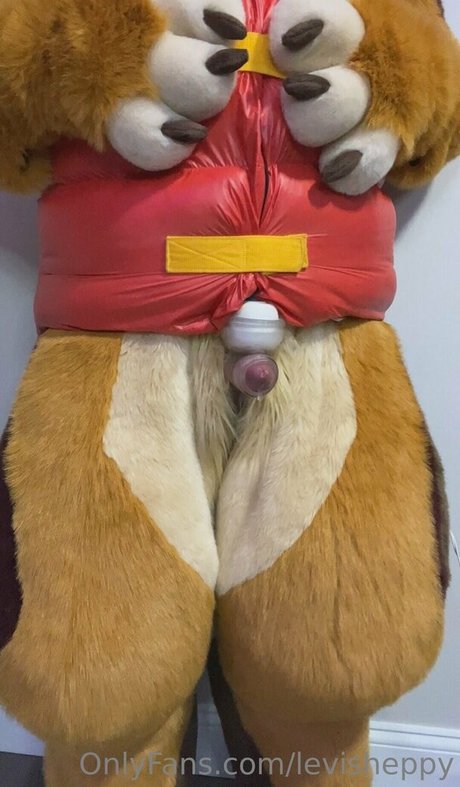 Levisheppy