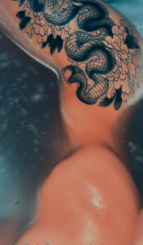 Ladygorgia