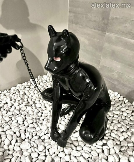 Foto desnuda filtrada de OnlyFans de Alexlatexmx