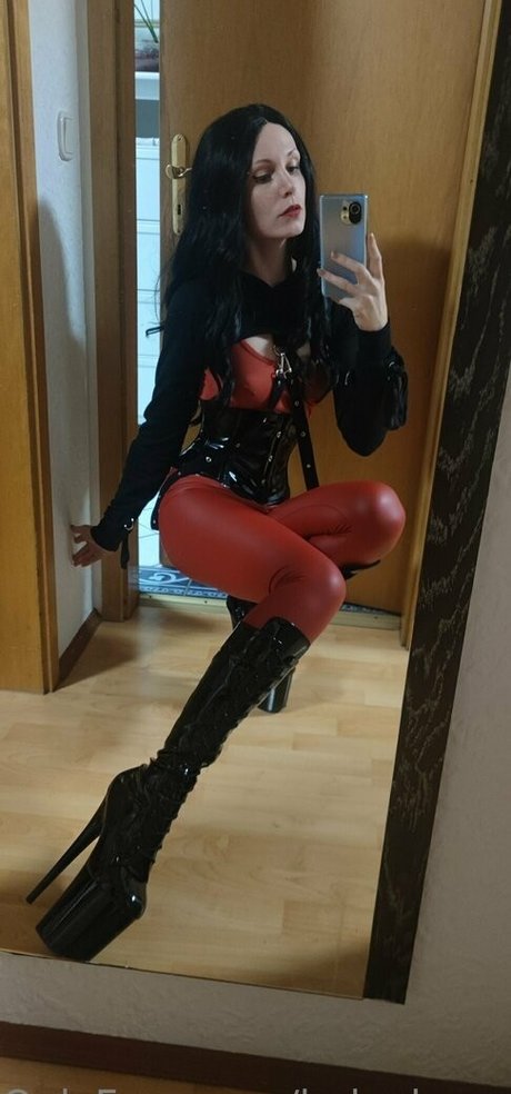 Ladyelvendoll
