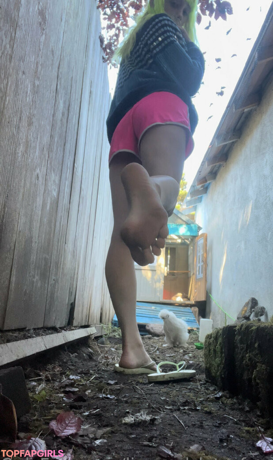 Foto desnuda filtrada de OnlyFans de Lizgizzardfree #71 Foto desnuda filtrada de OnlyFans de Lizgizzardfree #71