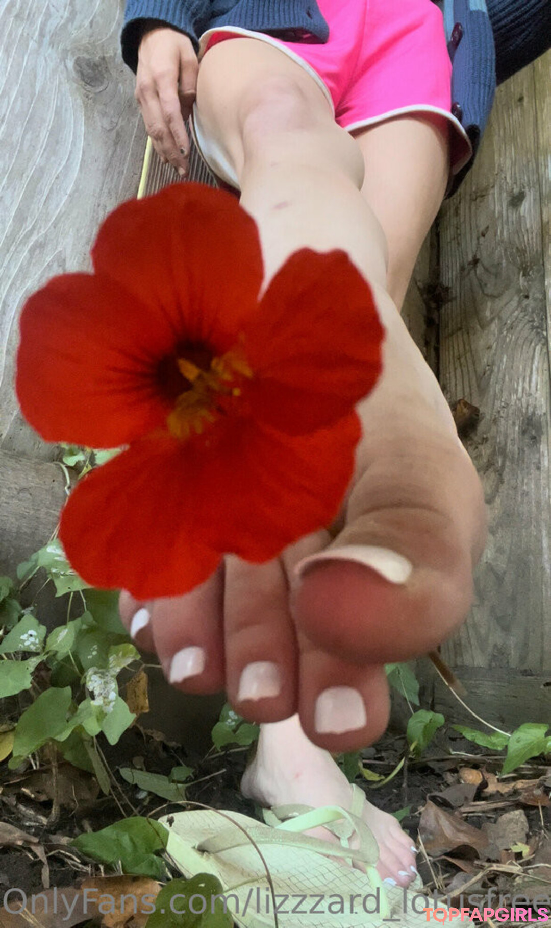 Foto desnuda filtrada de OnlyFans de Lizgizzardfree #74 Foto desnuda filtrada de OnlyFans de Lizgizzardfree #74