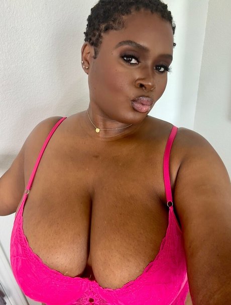 Thelingerielounge