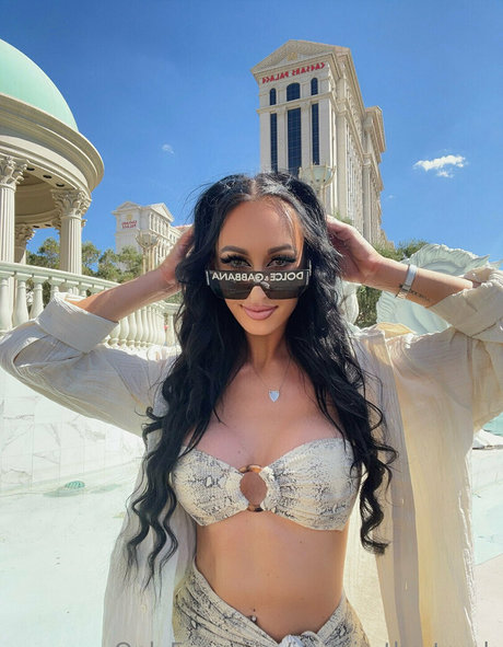 Elleventures