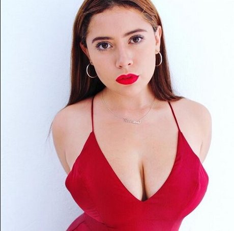 Vivi Alto