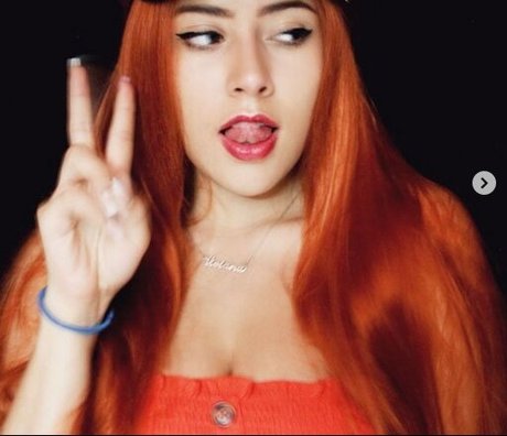 Vivi Alto