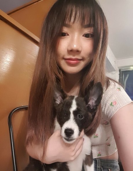 Bubblylive