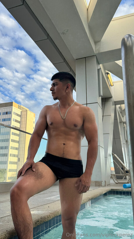 Vipnickperez