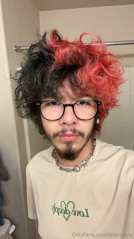 Seacookie