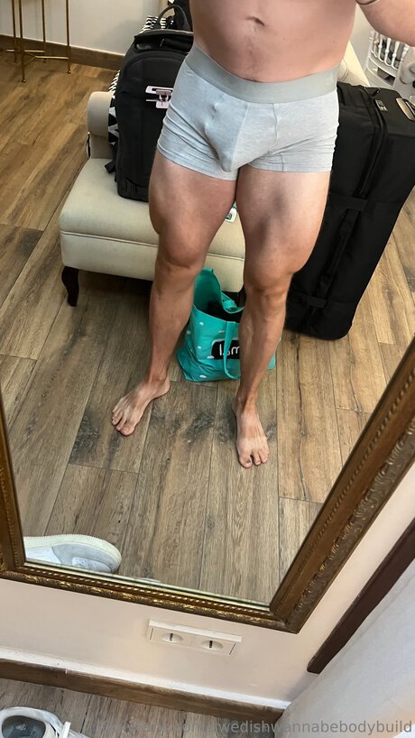 Swedishwannabebodybuild