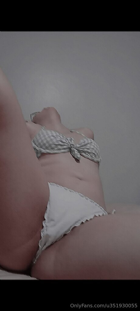 U351930055
