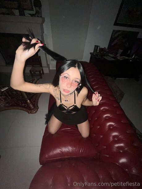 Petitefiesta