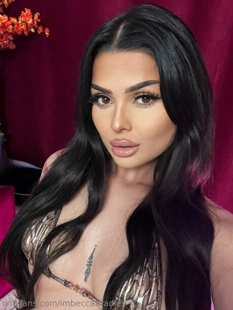 Imbeccabradley