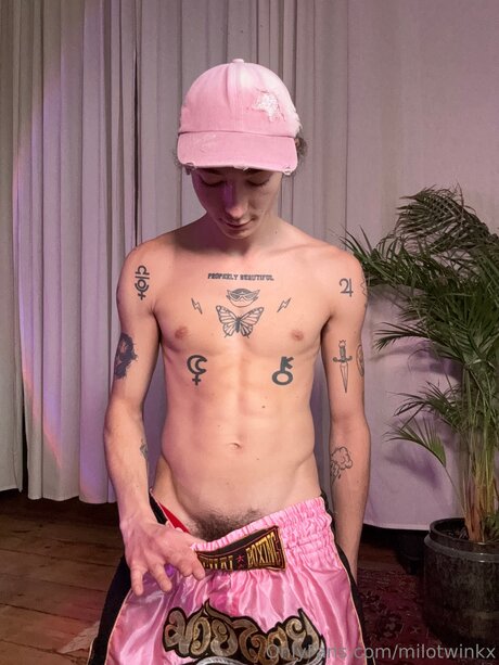 Milotwinkx