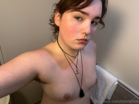 Tslolafree