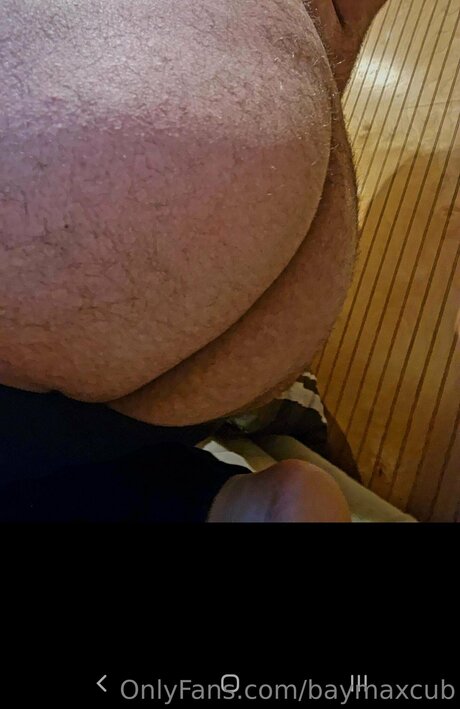 Baymaxcub