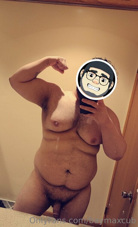 Baymaxcub