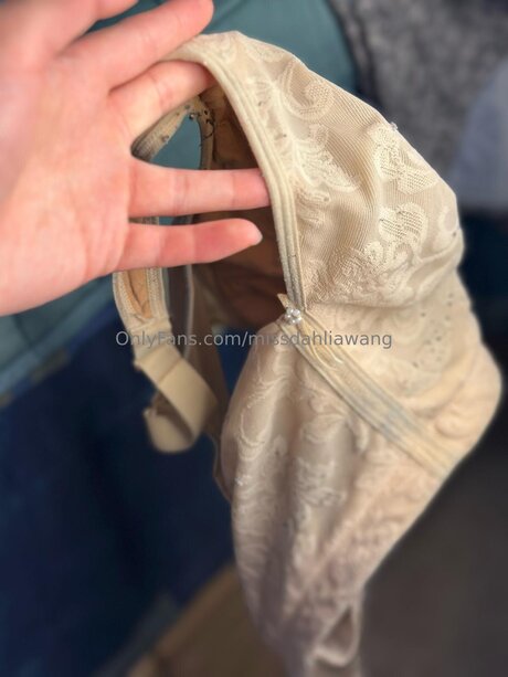 Foto desnuda filtrada de OnlyFans de Missdahliawang
