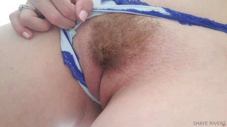 Shayeriversvip