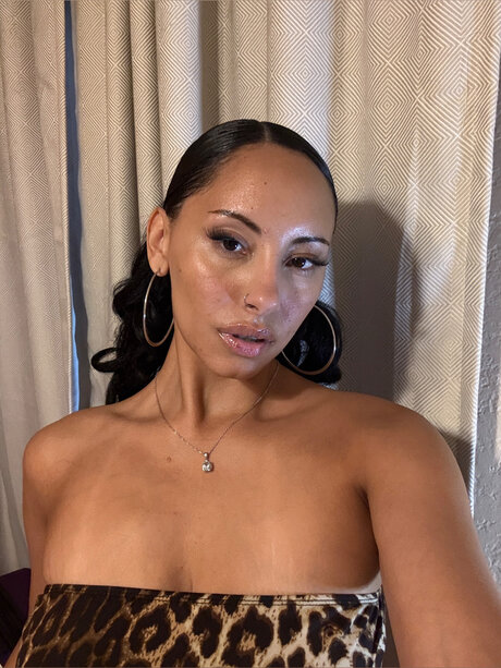 Bustynikki