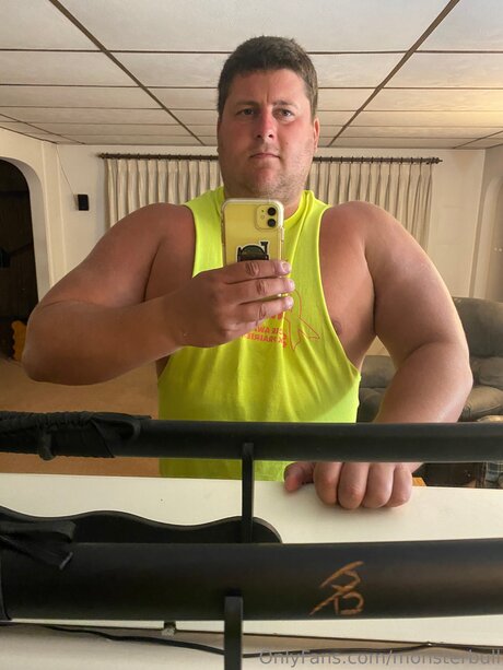 Thebulkinghog