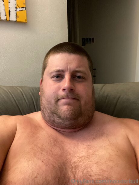 Thebulkinghog
