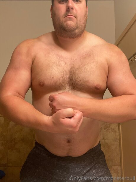 Thebulkinghog